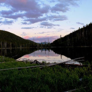 Meet your Posher, Lyssa